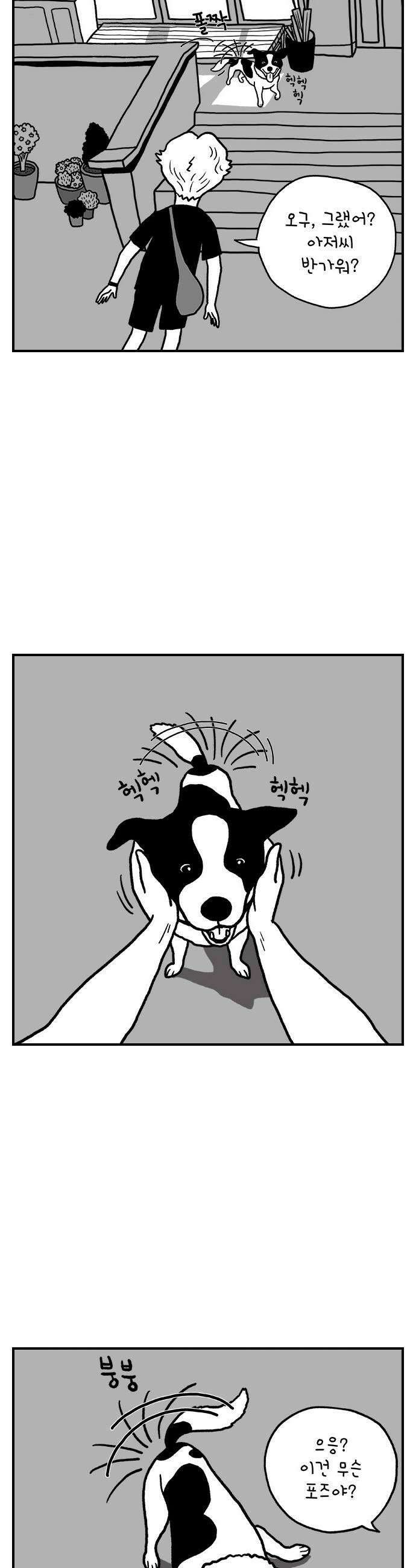 펫로스클럽 14 창 밖의 레오 2 25