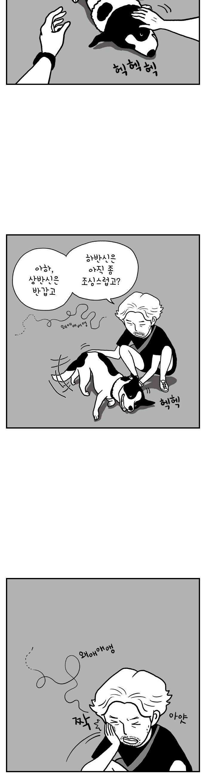 펫로스클럽 14 창 밖의 레오 2 26