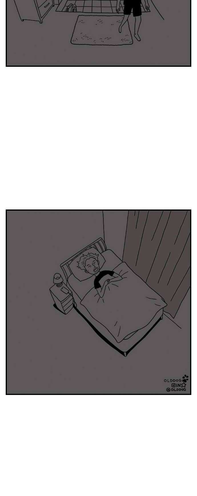 펫로스클럽 14 창 밖의 레오 2 30