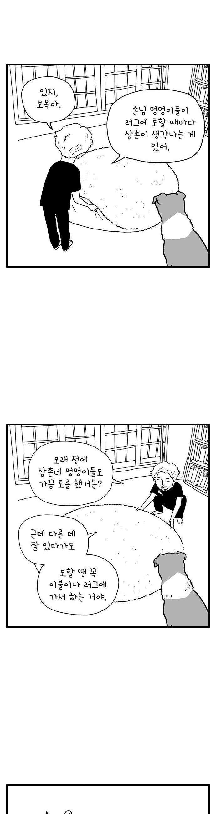 펫로스클럽 19 보목이 스타일 8
