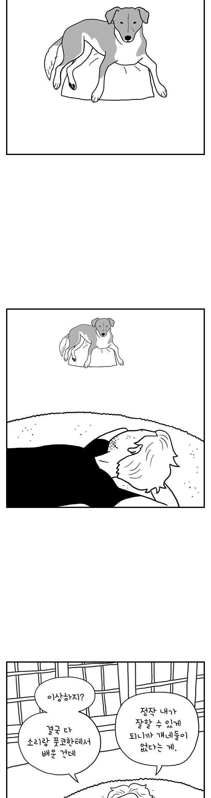 펫로스클럽 19 보목이 스타일 13