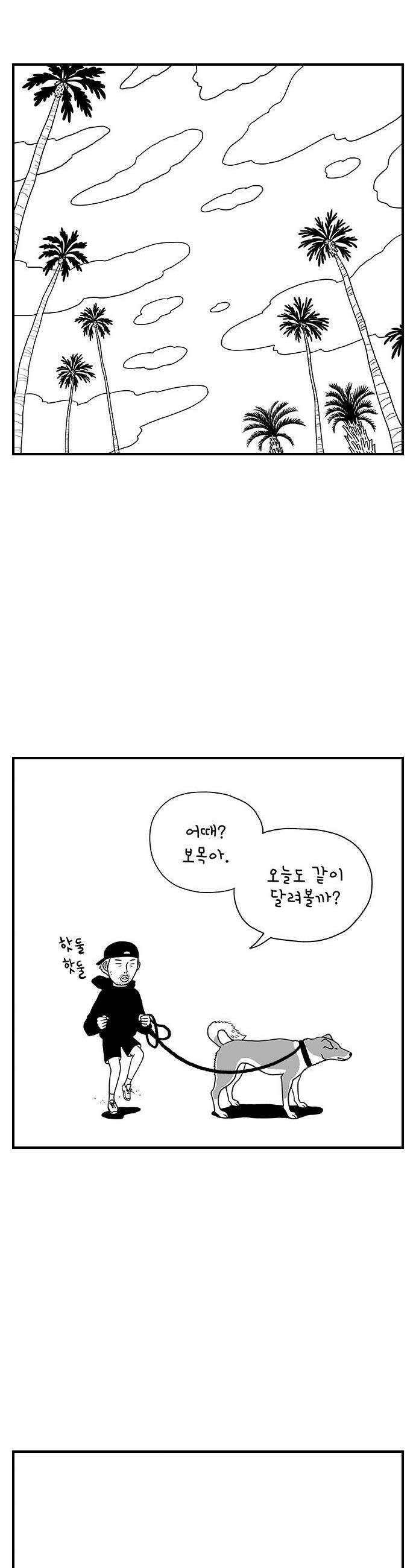 펫로스클럽 19 보목이 스타일 16
