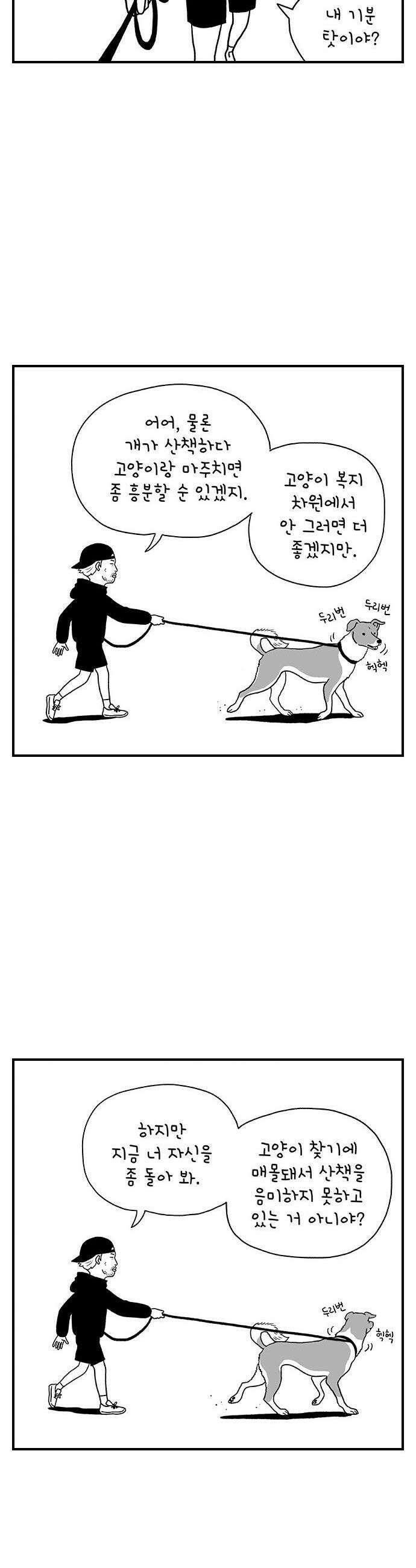 펫로스클럽 19 보목이 스타일 22