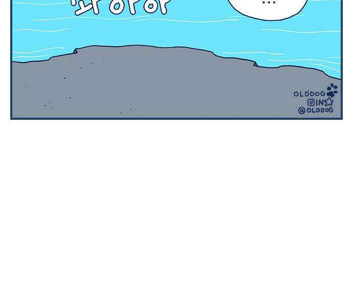 펫로스클럽 29 프리폴 30