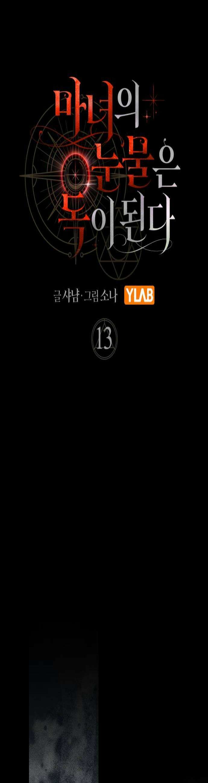 마녀의 눈물은 독이 된다 13화 3