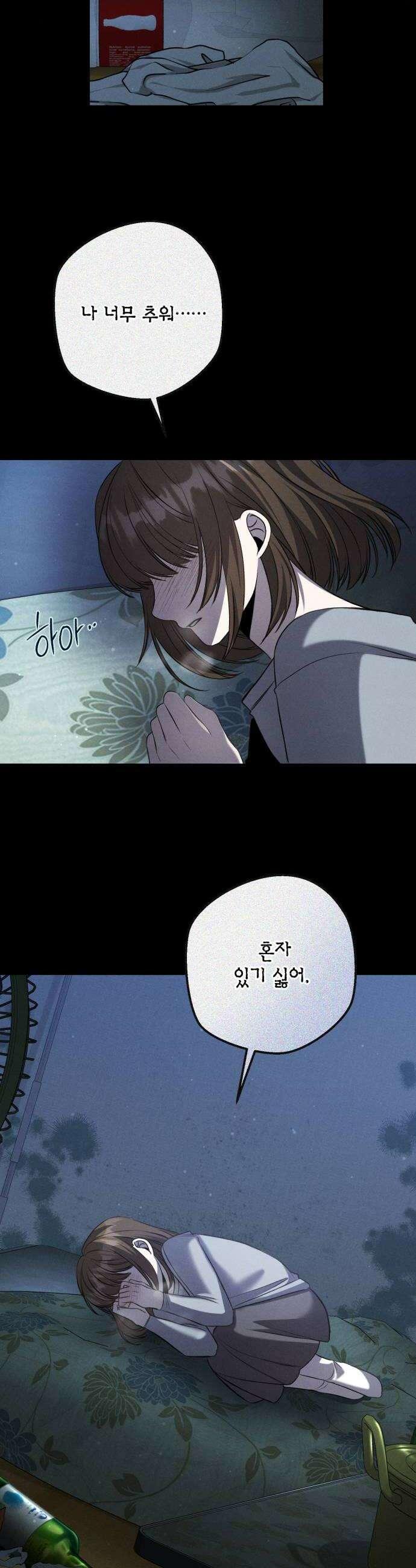 불완전한 이혼의 결말 39화 12