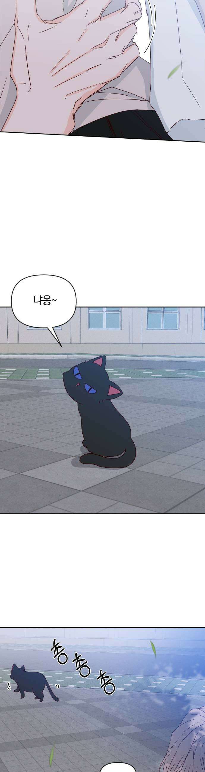 나의 연애 참견자 17화 35