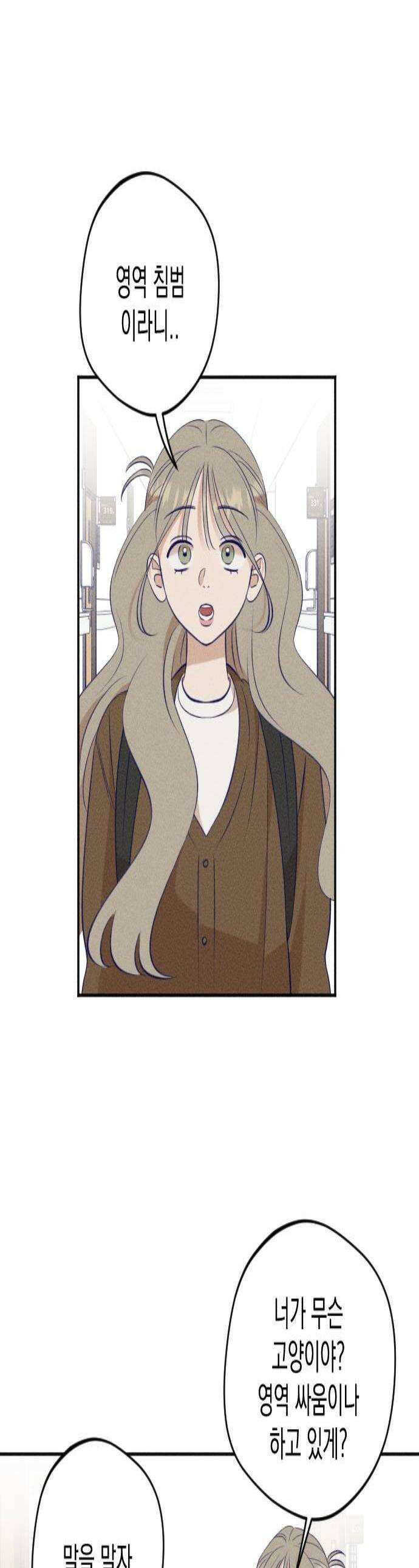 나의 다정에게 15화 1