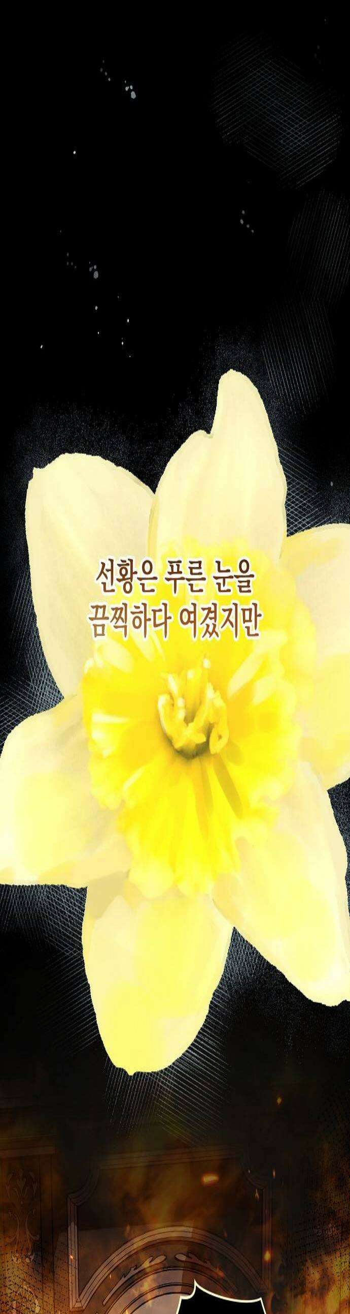 아름다운 줄리엣을 위하여 84화 시든 장미와 수선화 1