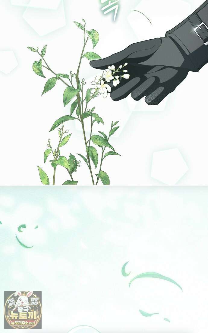 엑스트라에게 남주들을 빼앗겼다 88화 3