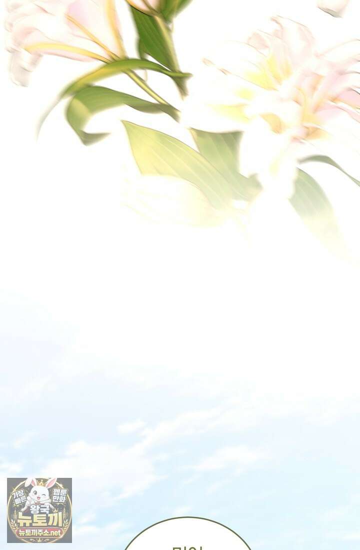 레이디는 싫습니다 52화 6