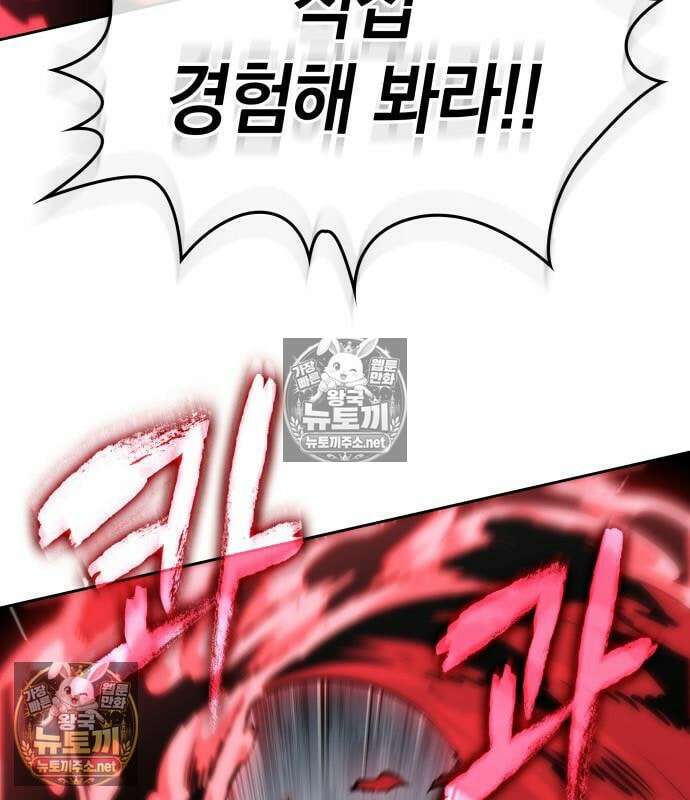 나노마신 312화 27