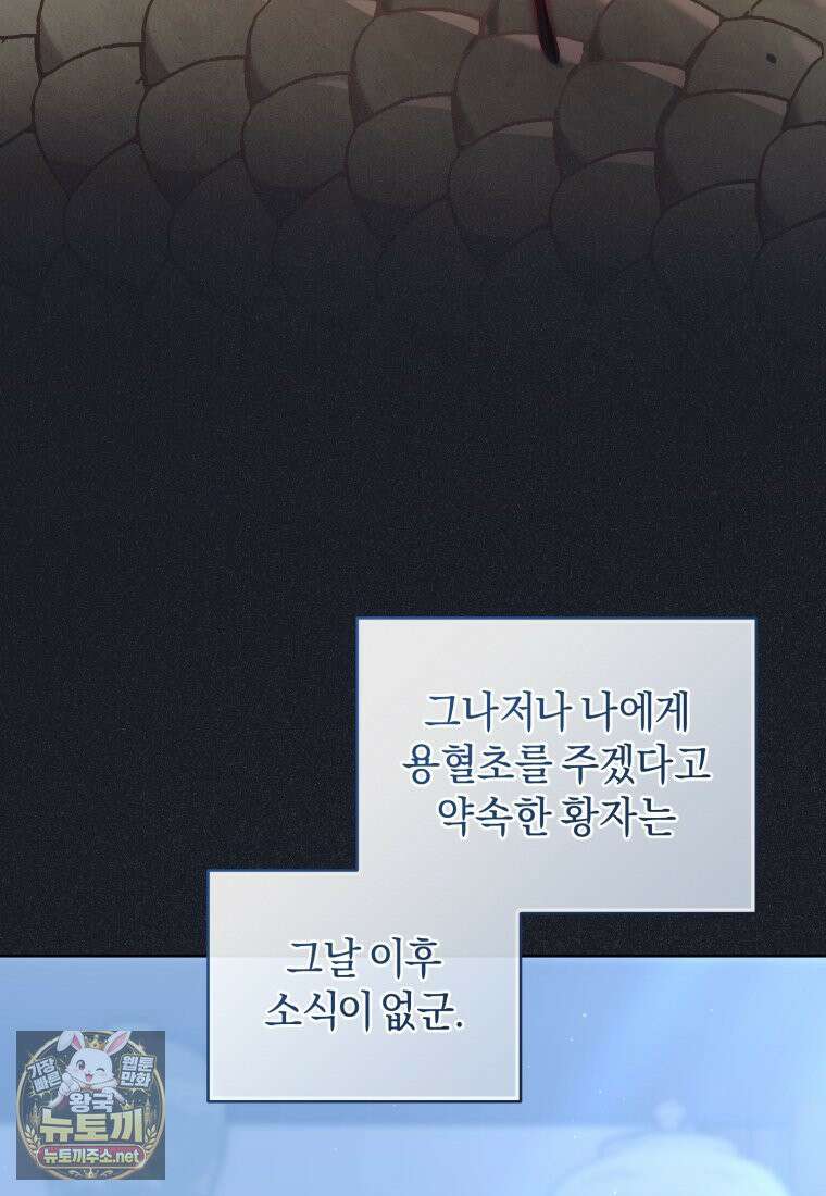 백호 가문의 아기 솜뭉치 11화 21