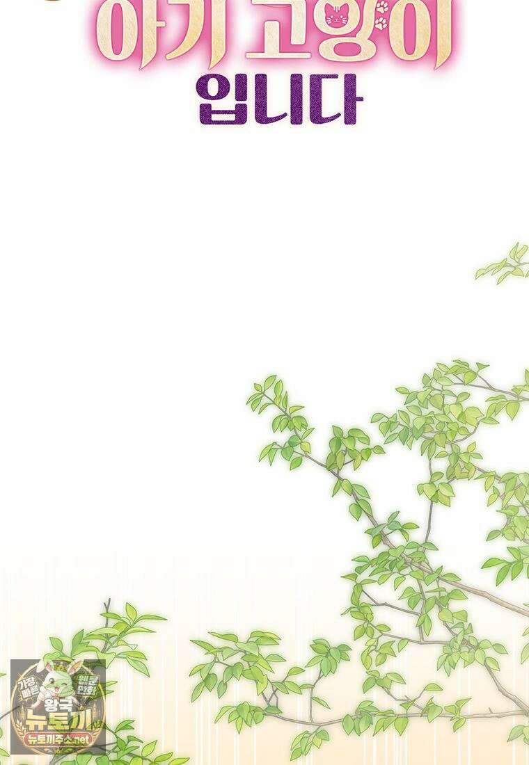 멍문세가를 호령하는 아기 고양이입니다 13화 17