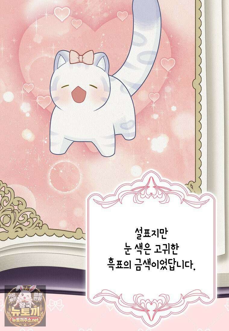 흑표 가문의 설표 아기님 67화 100