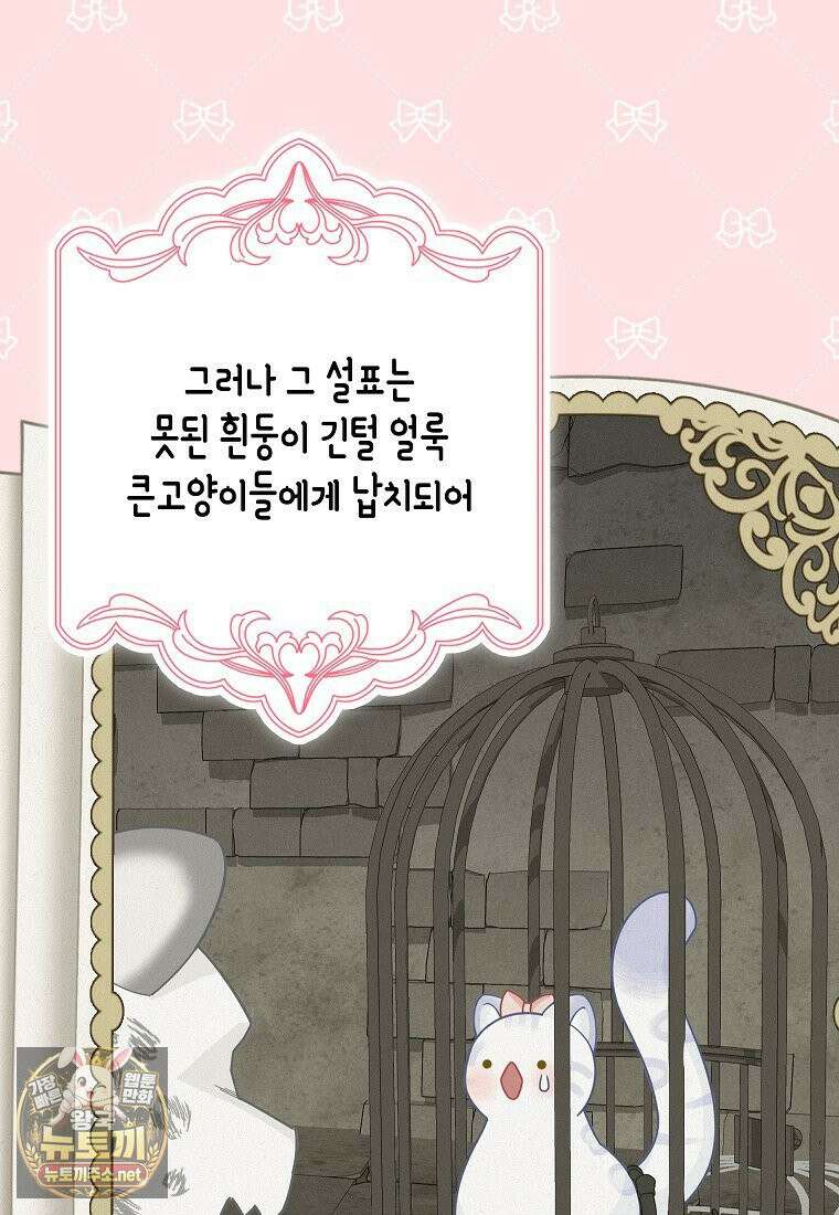 흑표 가문의 설표 아기님 67화 101