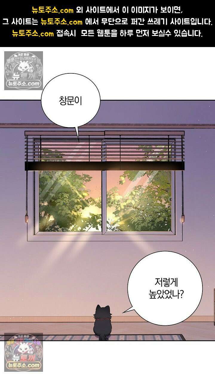 늑대가 날 책임지겠대 19화 1