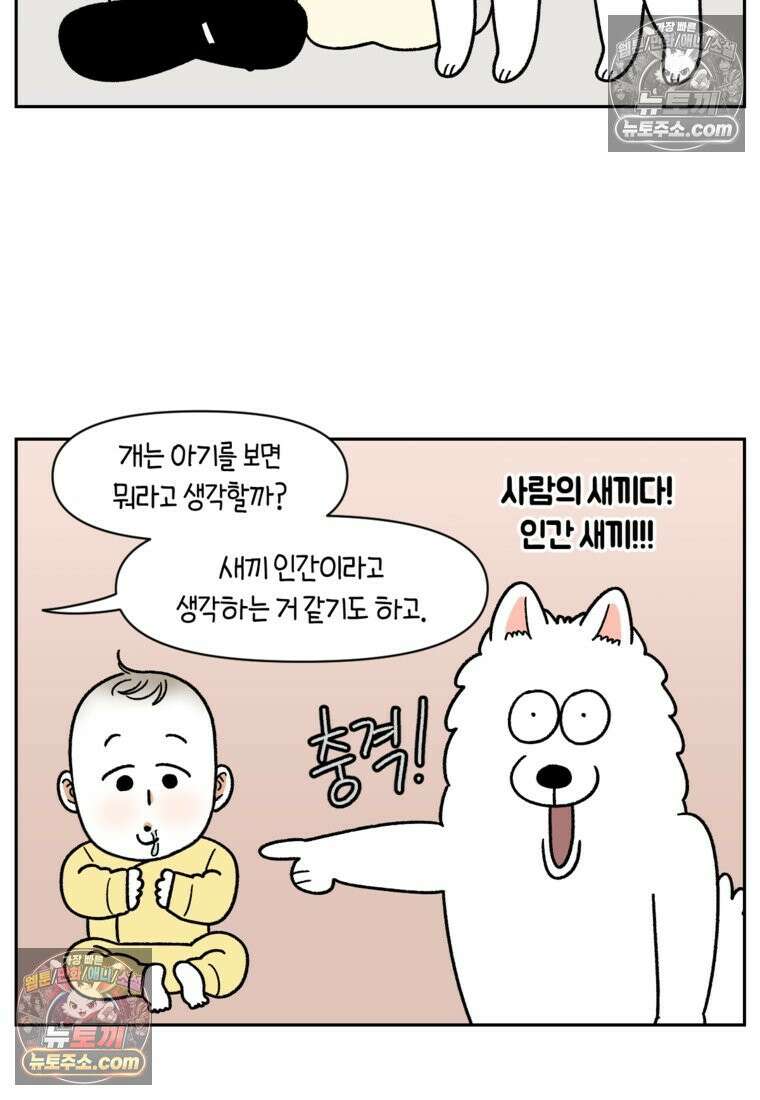 극한견주 시즌2 37화 아기 손님과 솜이 5