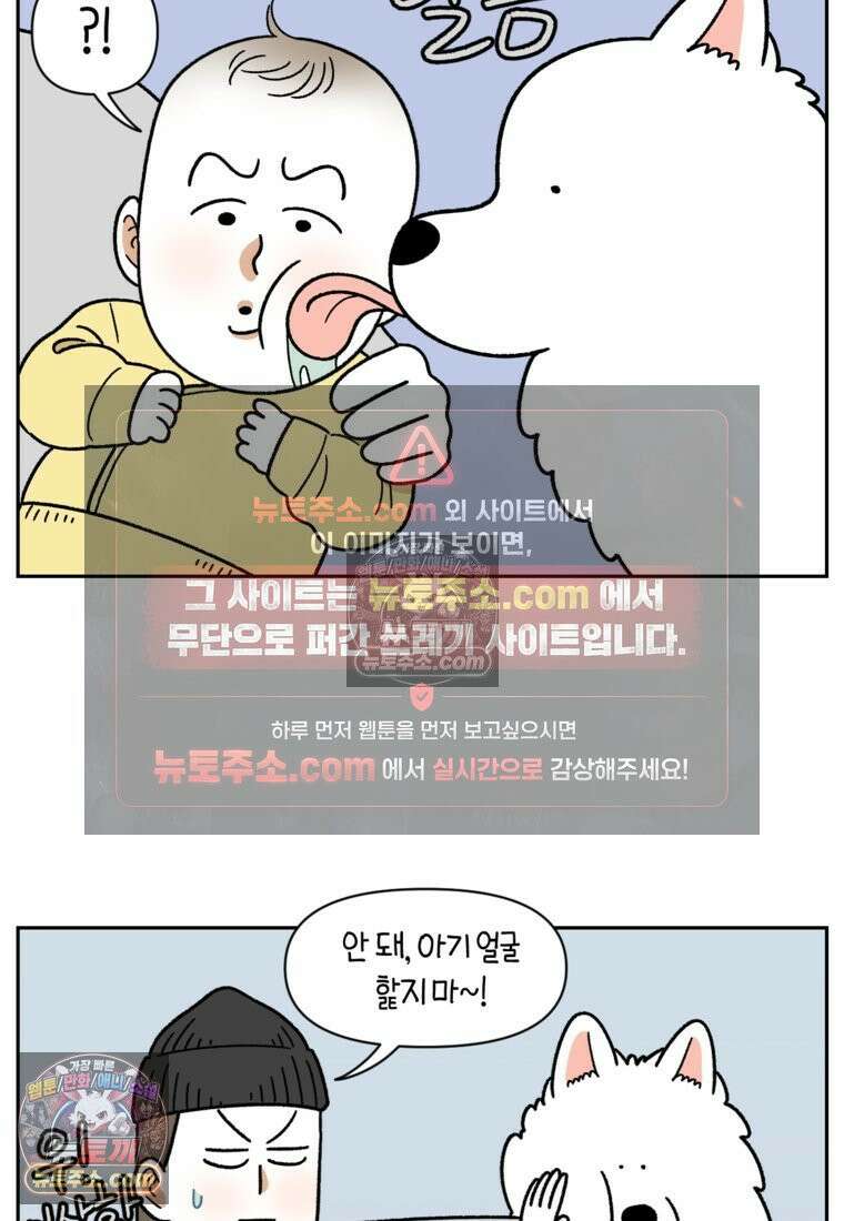 극한견주 시즌2 37화 아기 손님과 솜이 7