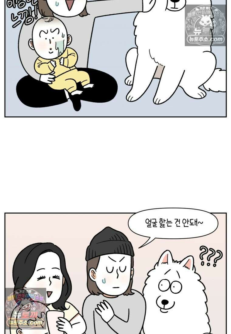 극한견주 시즌2 37화 아기 손님과 솜이 8