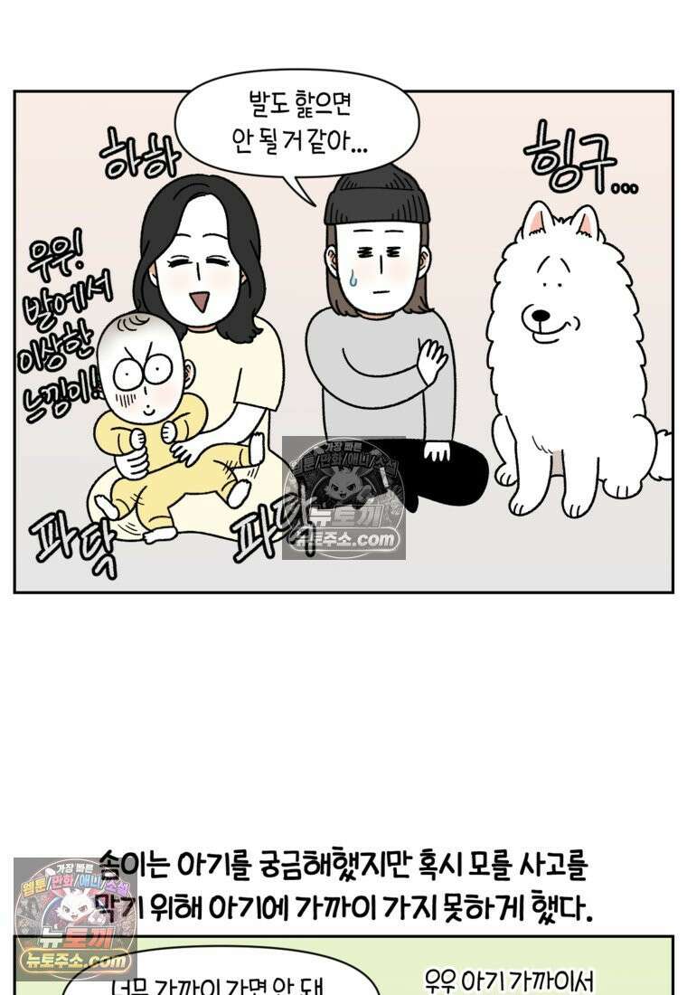 극한견주 시즌2 37화 아기 손님과 솜이 10