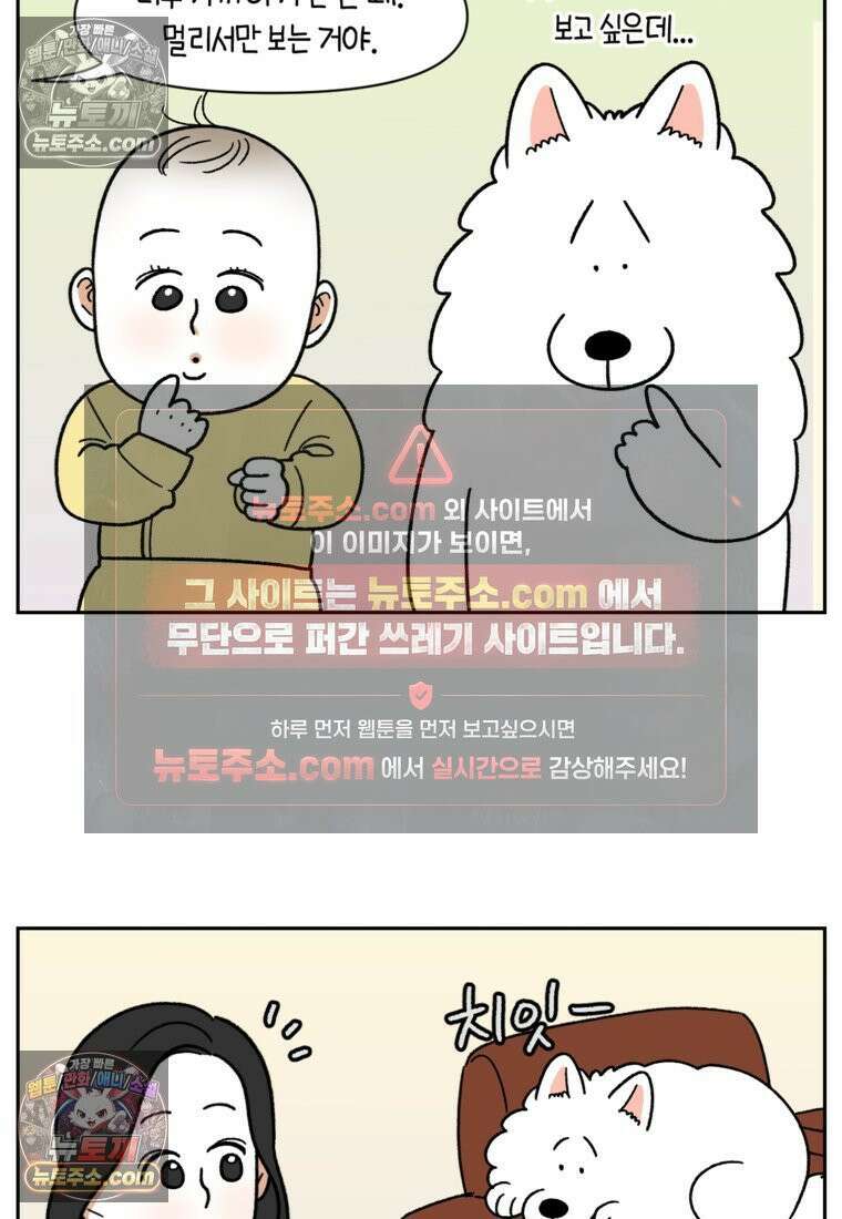 극한견주 시즌2 37화 아기 손님과 솜이 11