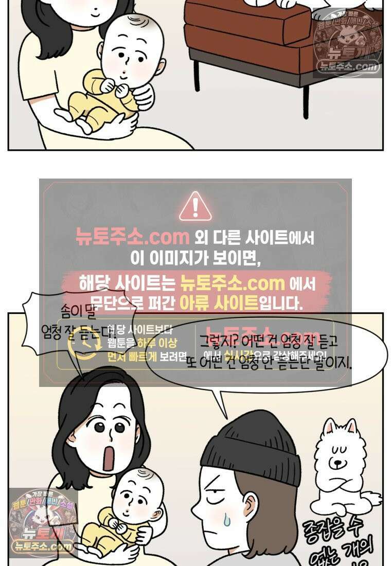 극한견주 시즌2 37화 아기 손님과 솜이 12