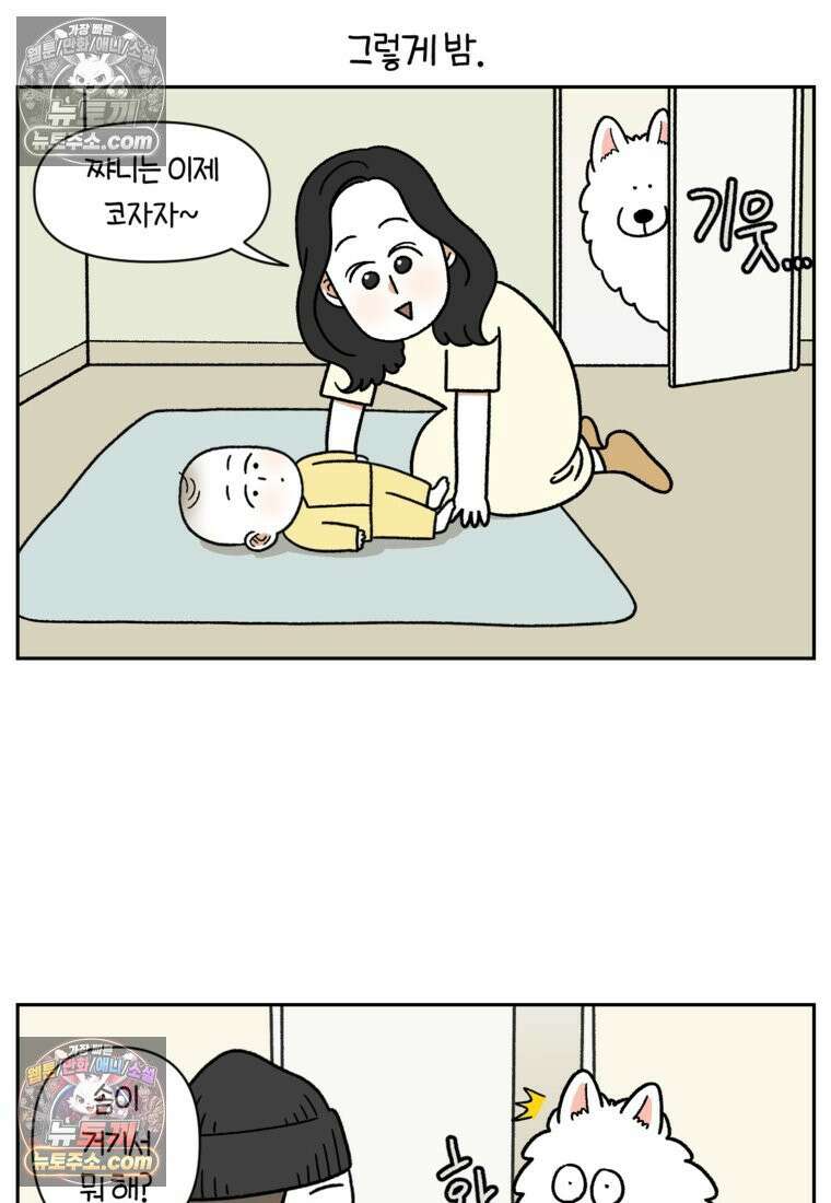 극한견주 시즌2 37화 아기 손님과 솜이 15
