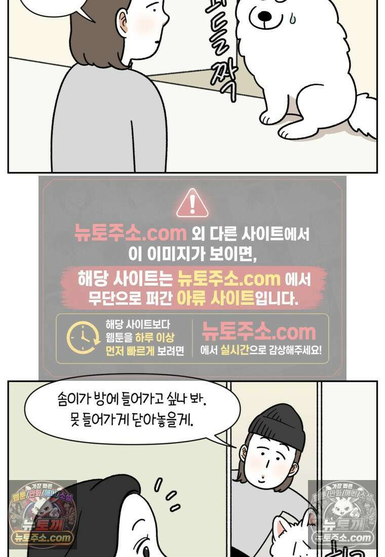 극한견주 시즌2 37화 아기 손님과 솜이 16