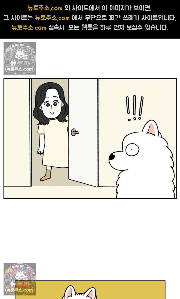 극한견주 시즌2 37화 아기 손님과 솜이 18