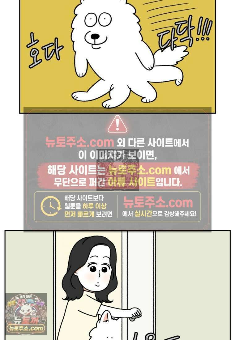 극한견주 시즌2 37화 아기 손님과 솜이 19