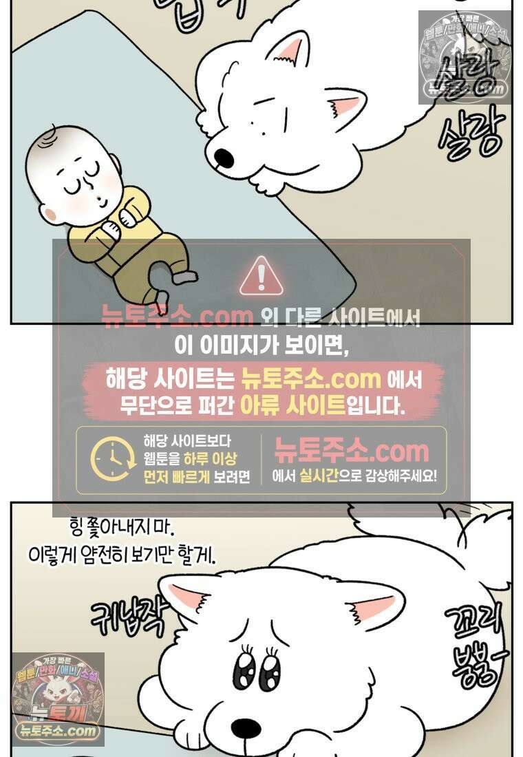 극한견주 시즌2 37화 아기 손님과 솜이 22