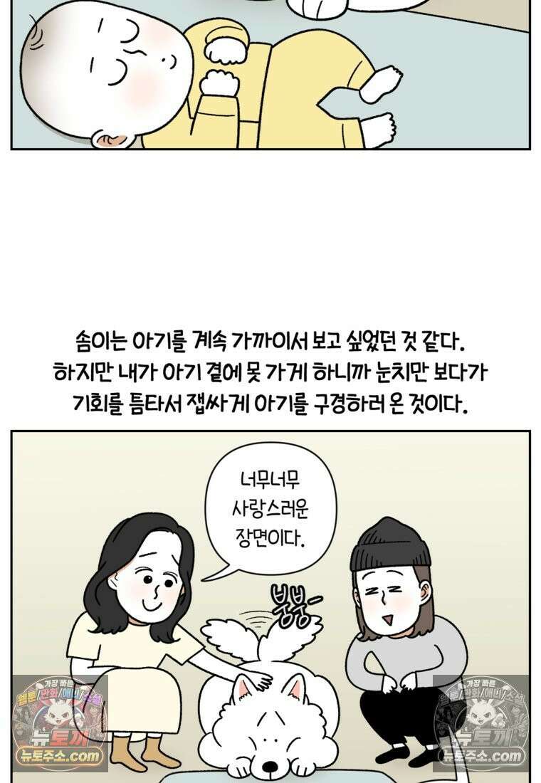 극한견주 시즌2 37화 아기 손님과 솜이 23