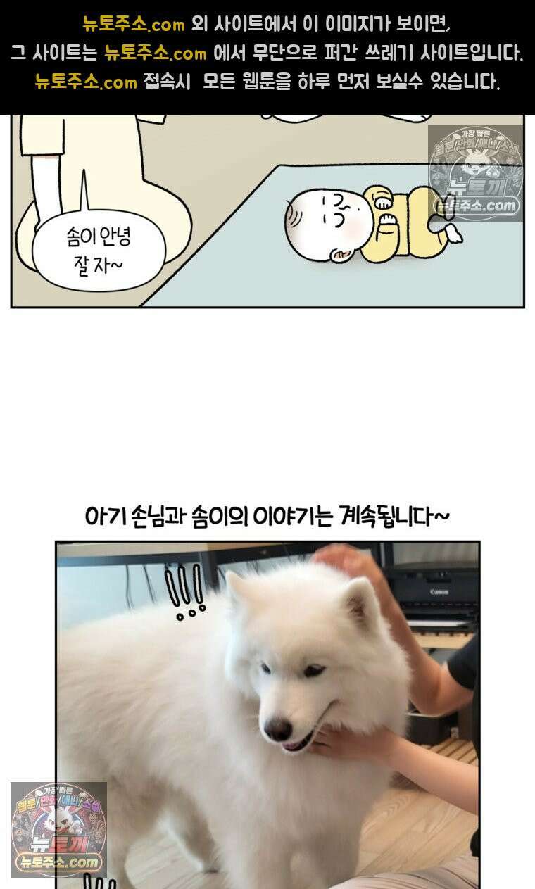 극한견주 시즌2 37화 아기 손님과 솜이 25