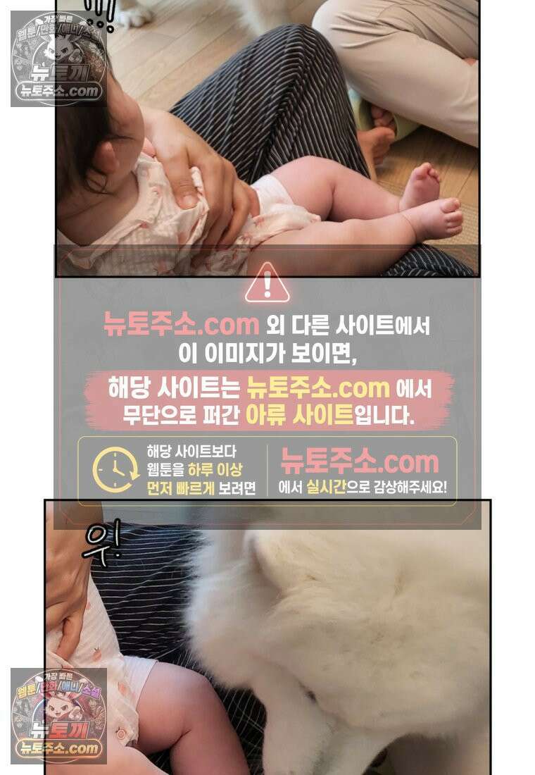 극한견주 시즌2 37화 아기 손님과 솜이 26