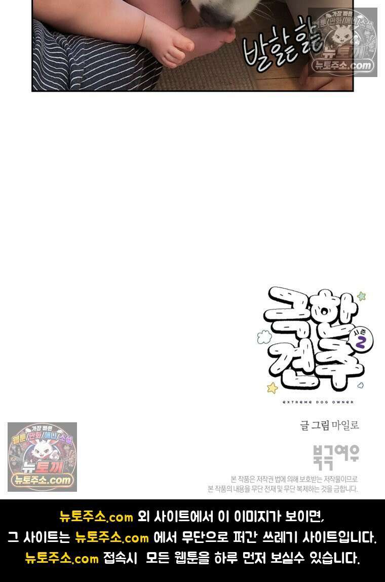 극한견주 시즌2 37화 아기 손님과 솜이 27