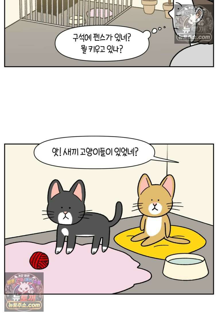 극한견주 시즌2 52화 링웜 옮기 3