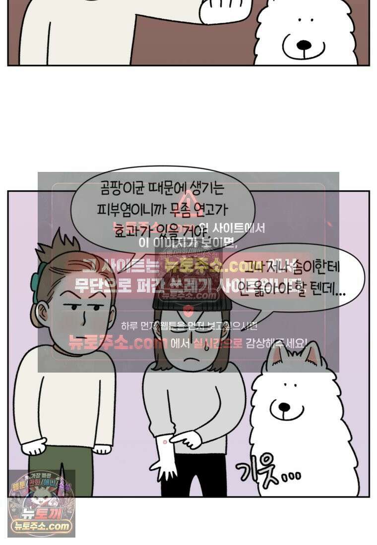 극한견주 시즌2 52화 링웜 옮기 12