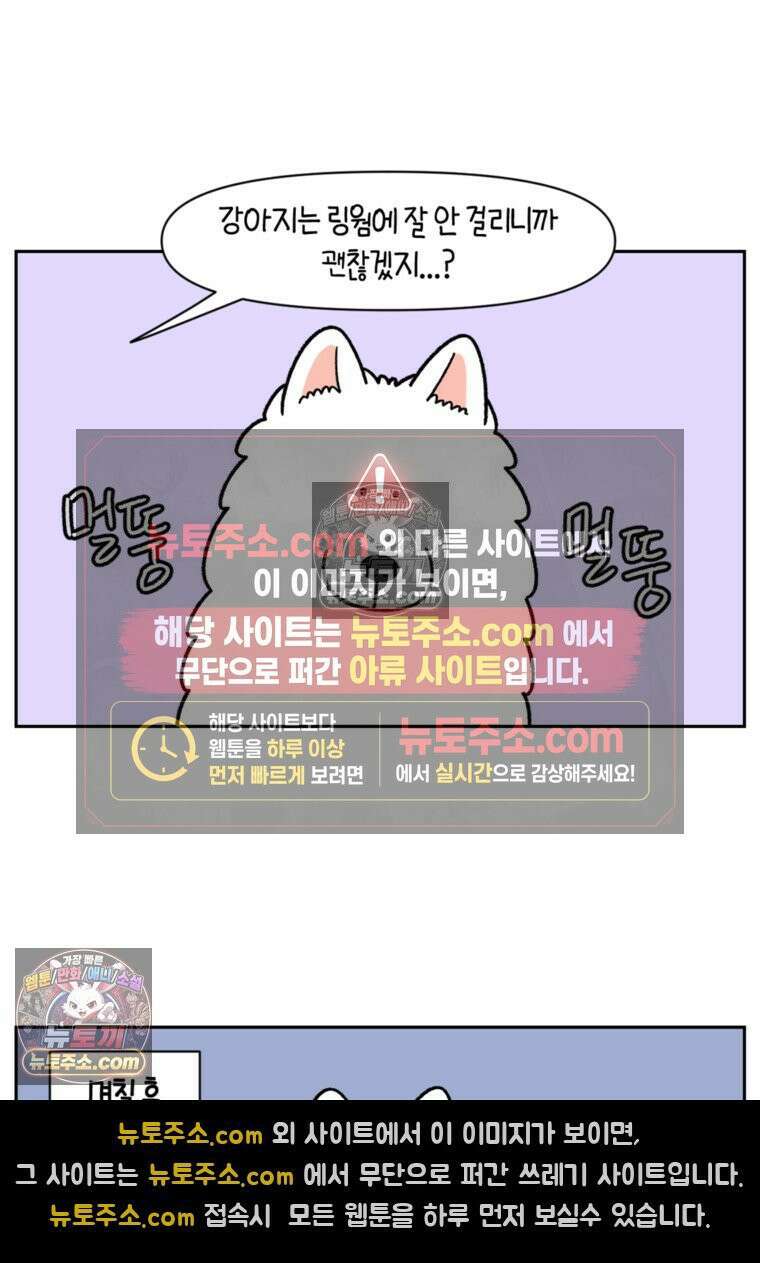 극한견주 시즌2 52화 링웜 옮기 13