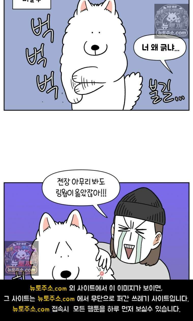 극한견주 시즌2 52화 링웜 옮기 14