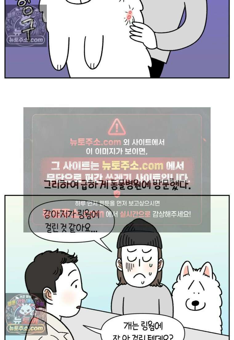 극한견주 시즌2 52화 링웜 옮기 15