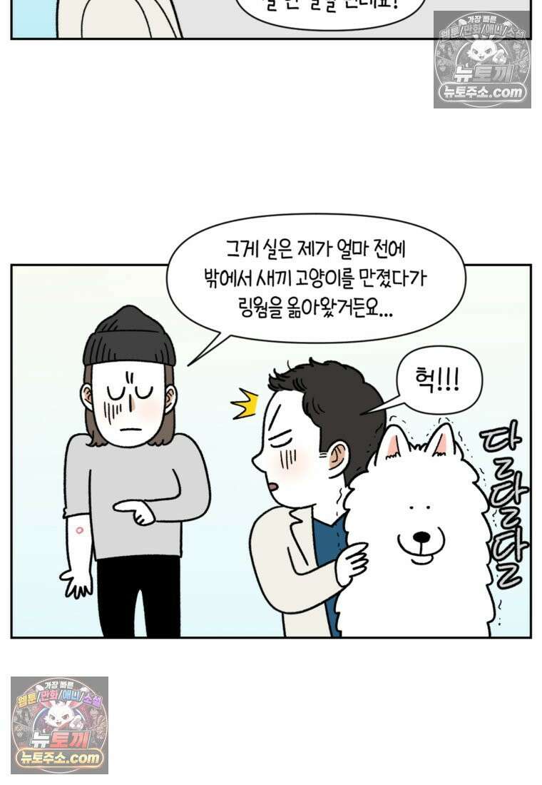 극한견주 시즌2 52화 링웜 옮기 16