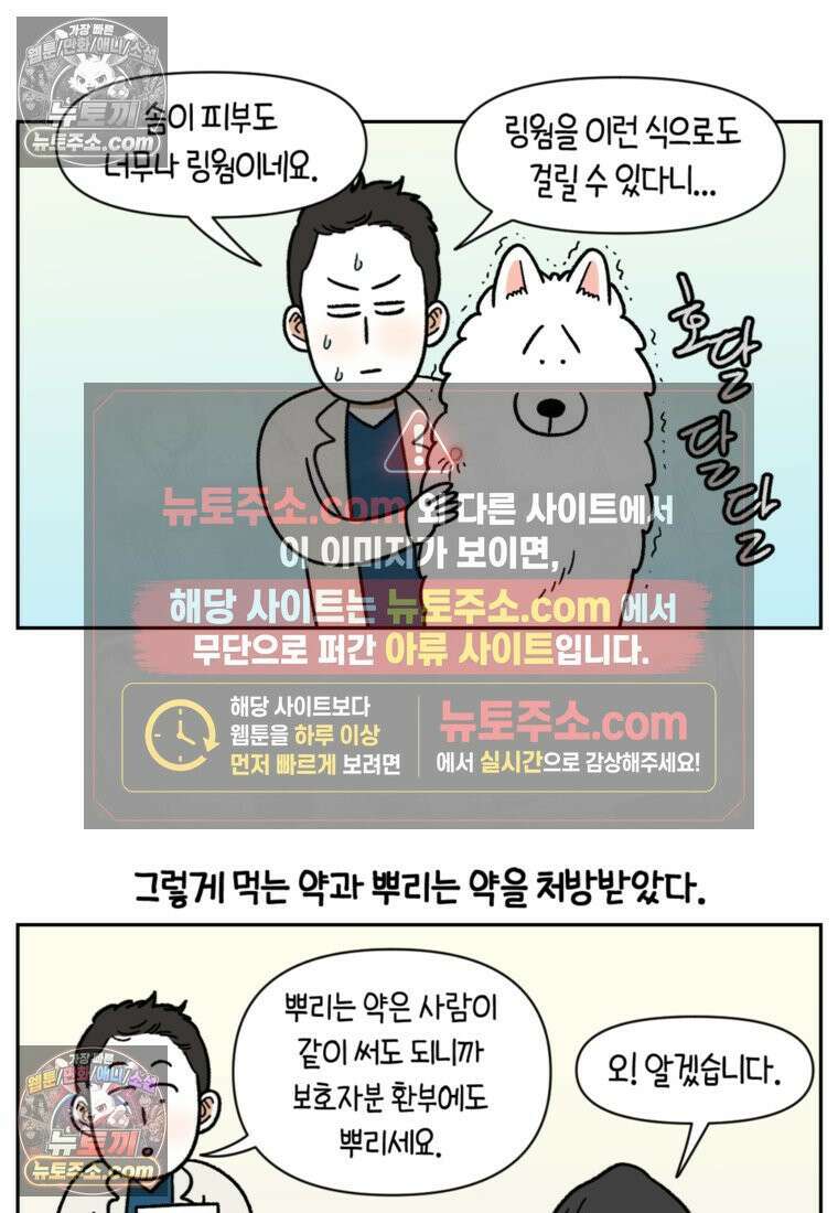 극한견주 시즌2 52화 링웜 옮기 17