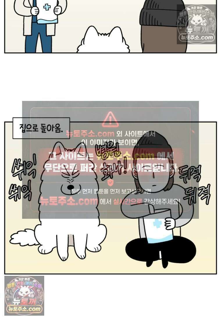 극한견주 시즌2 52화 링웜 옮기 18