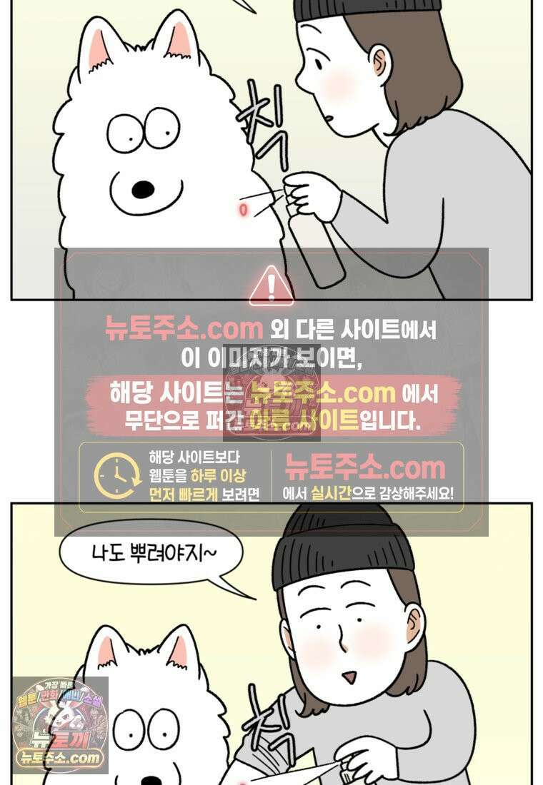 극한견주 시즌2 52화 링웜 옮기 20