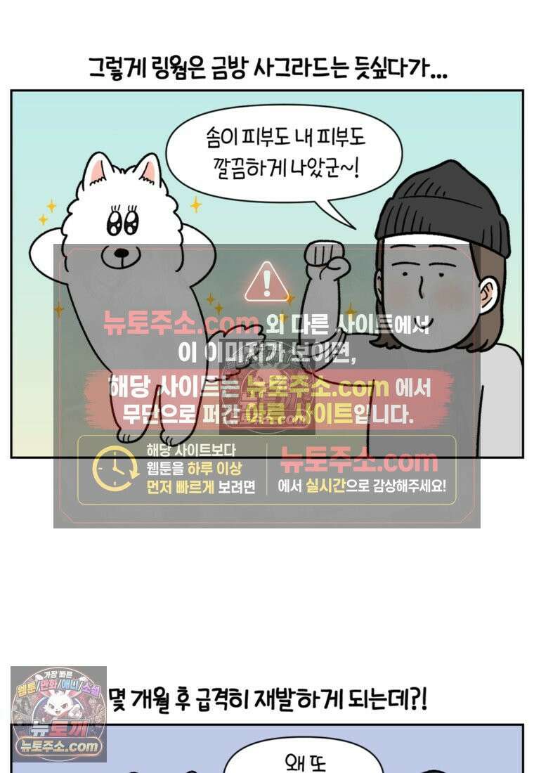 극한견주 시즌2 52화 링웜 옮기 23