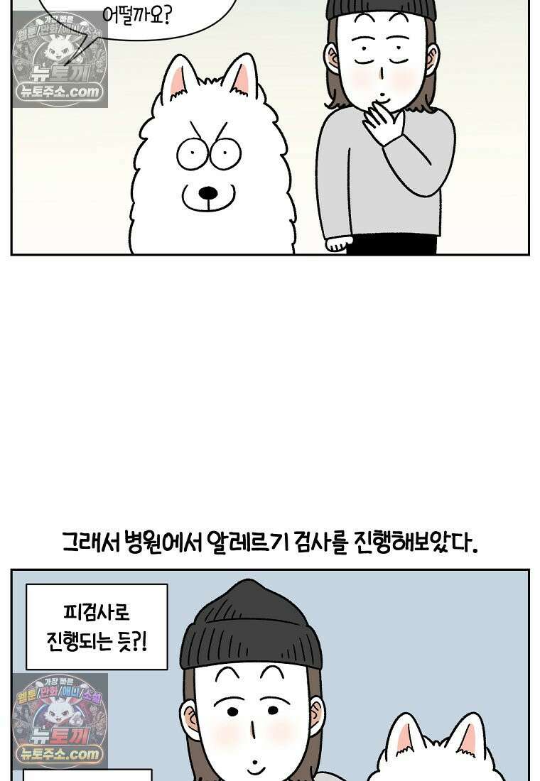 극한견주 시즌2 57화 집먼지진드기 박멸하기 3