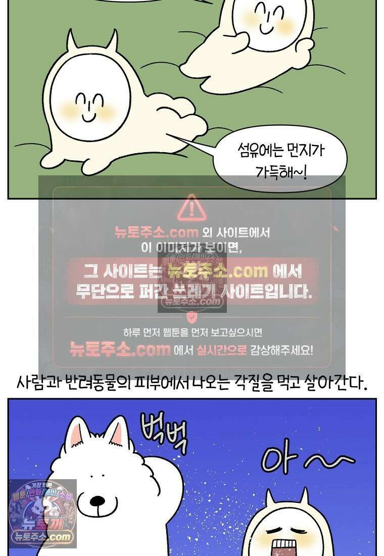 극한견주 시즌2 57화 집먼지진드기 박멸하기 9