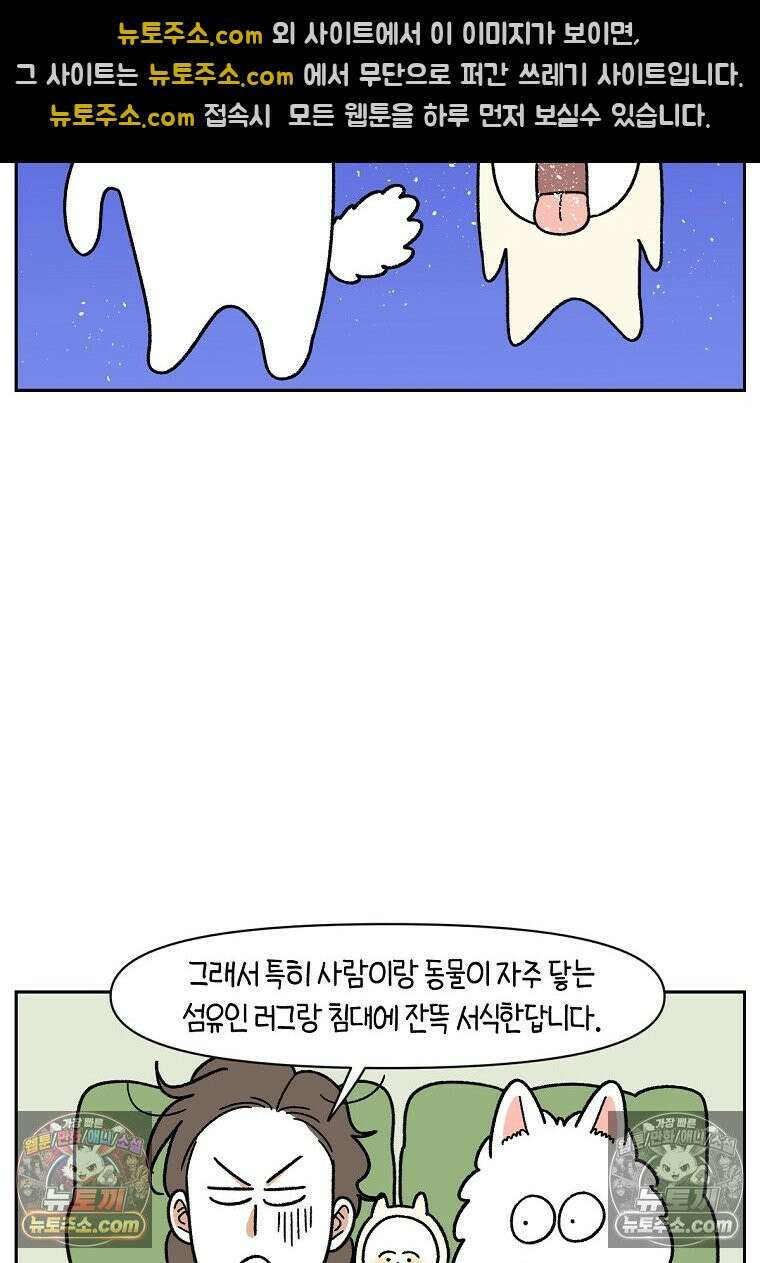 극한견주 시즌2 57화 집먼지진드기 박멸하기 10