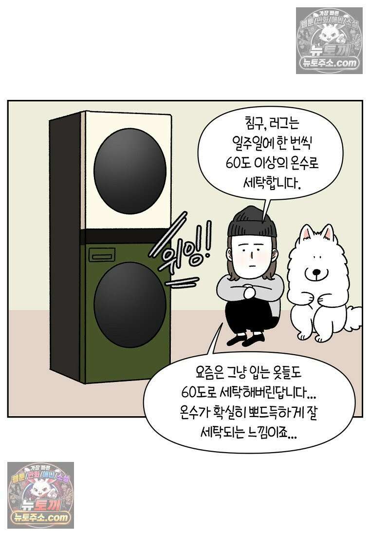 극한견주 시즌2 57화 집먼지진드기 박멸하기 17